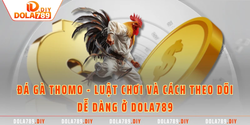 Đá Gà Thomo - Luật Chơi Và Cách Theo Dõi Dễ Dàng Ở DOLA789